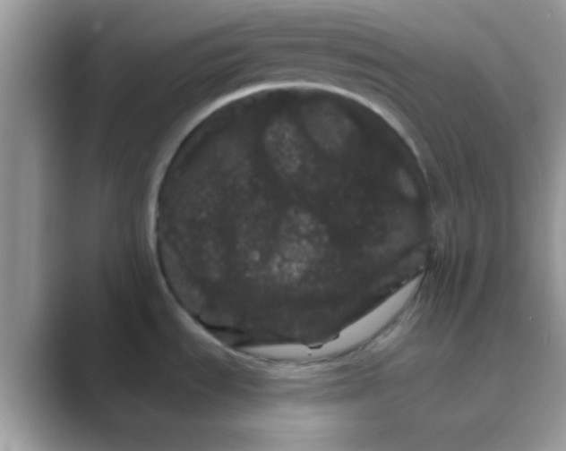 X0000089761535200707051824