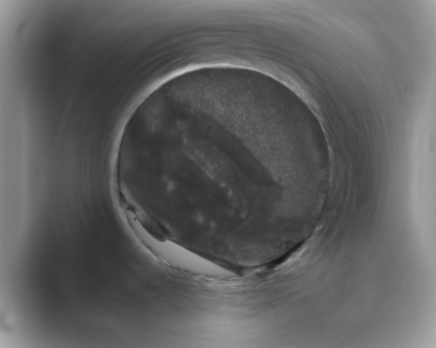 X0000089761536200707051824