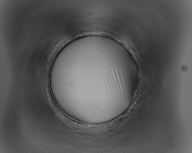 X0000089760001200707121413