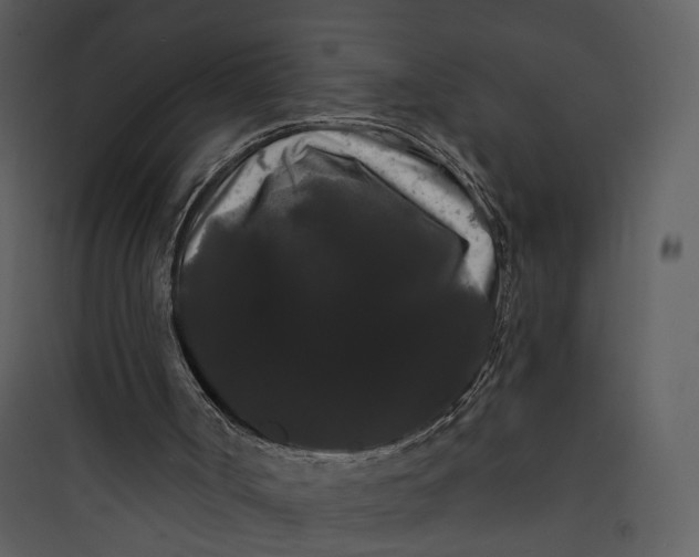 X0000089760002200707121413
