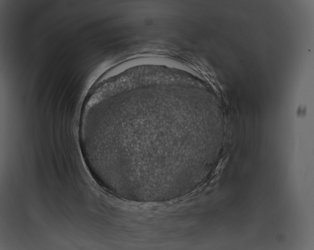X0000089760003200707121413