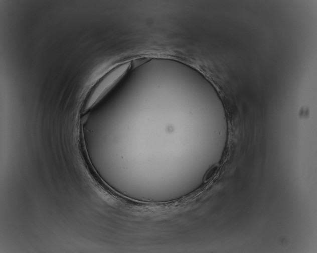 X0000089760005200707121413