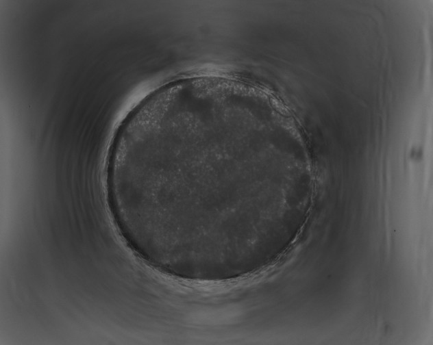X0000089760006200707121413