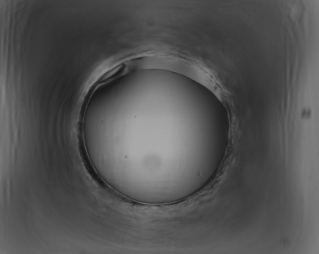 X0000089760007200707121413