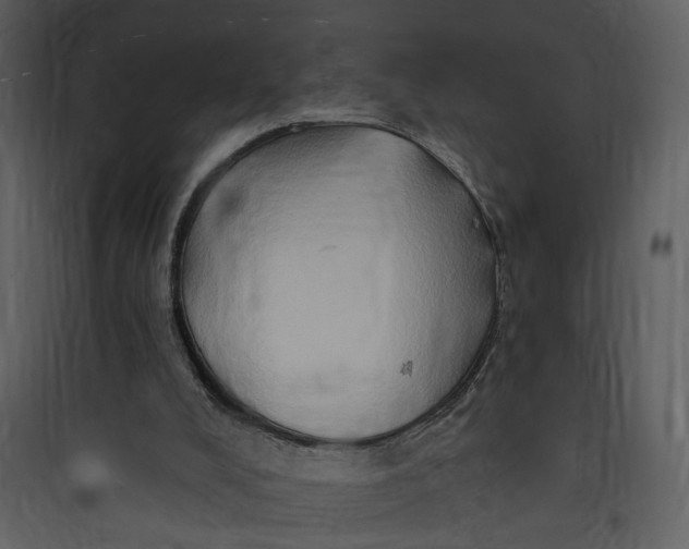 X0000089760008200707121413
