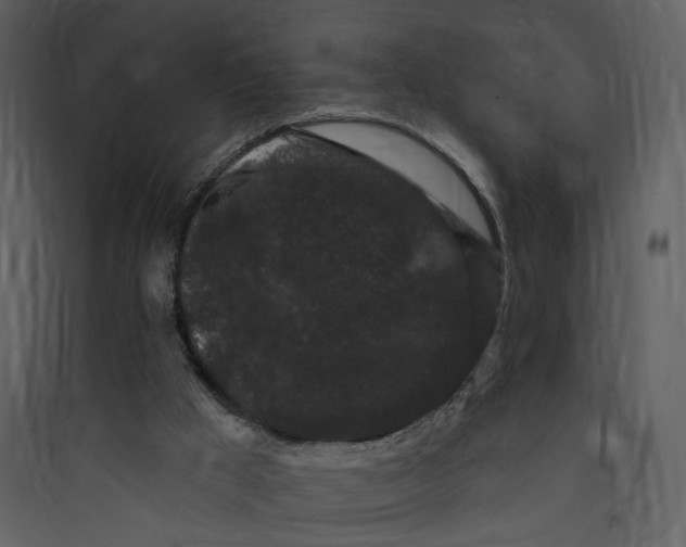 X0000089760009200707121413