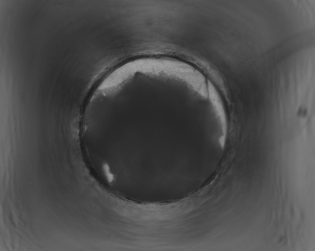 X0000089760010200707121413