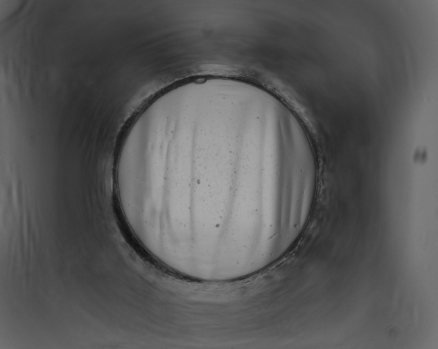 X0000089760011200707121413