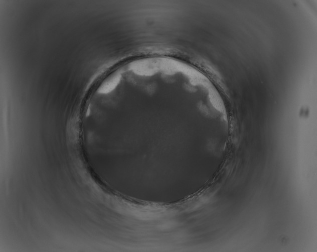 X0000089760012200707121413