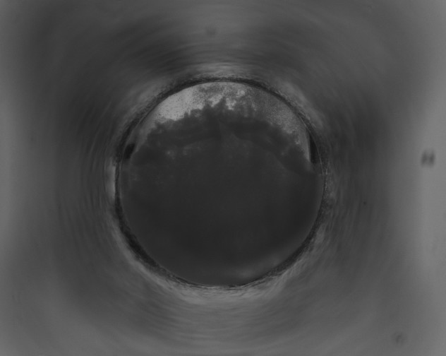 X0000089760014200707121413