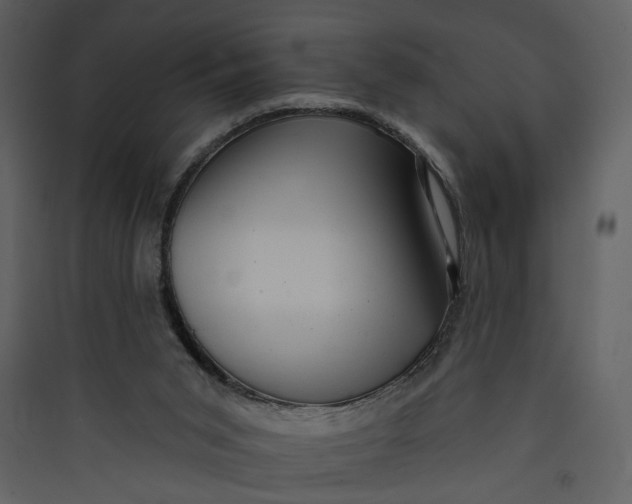 X0000089760015200707121413