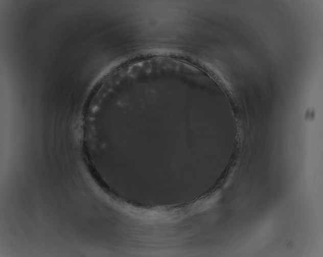 X0000089760016200707121413