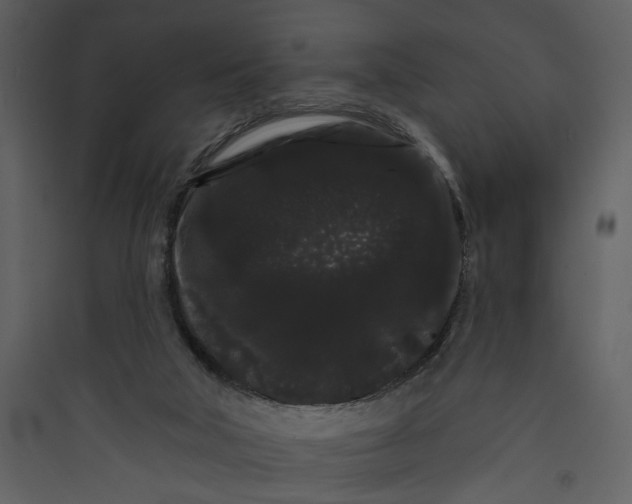 X0000089760018200707121413