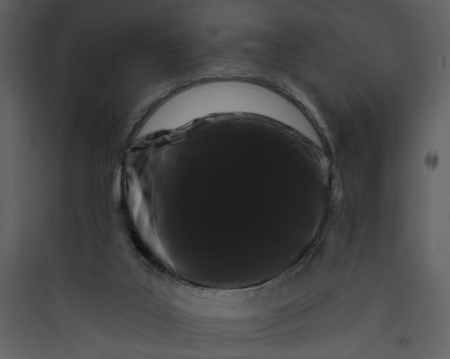X0000089760019200707121413
