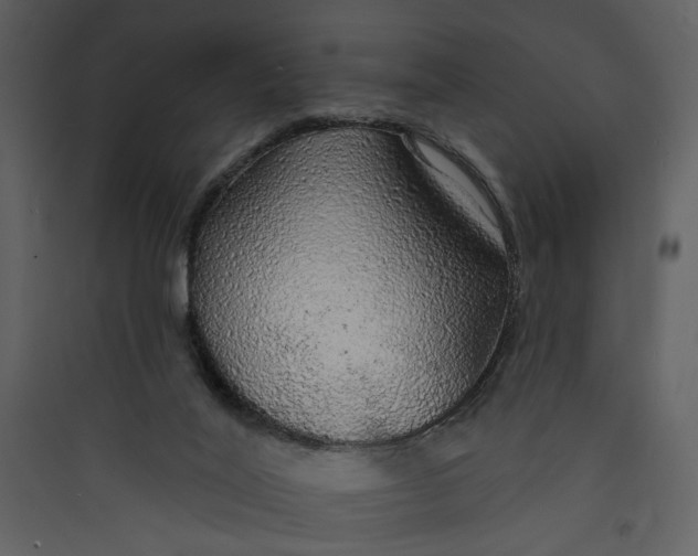 X0000089760020200707121413