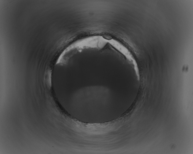 X0000089760022200707121413