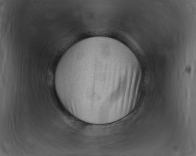 X0000089760025200707121413