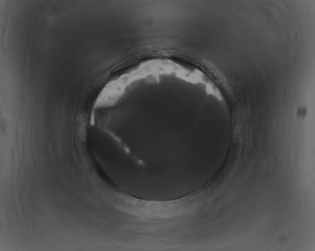 X0000089760026200707121413