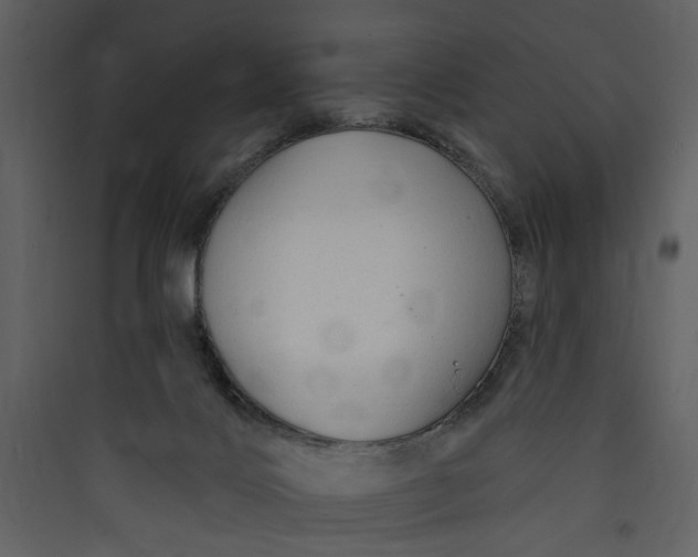 X0000089760028200707121413