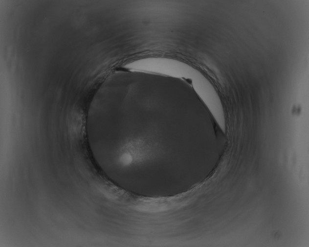 X0000089760029200707121413
