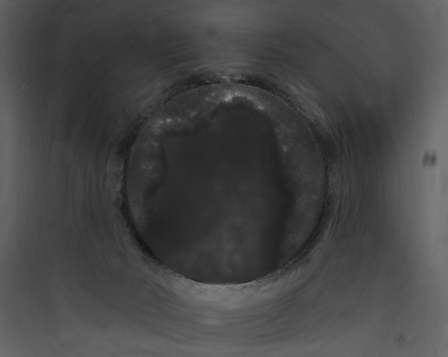 X0000089760030200707121413