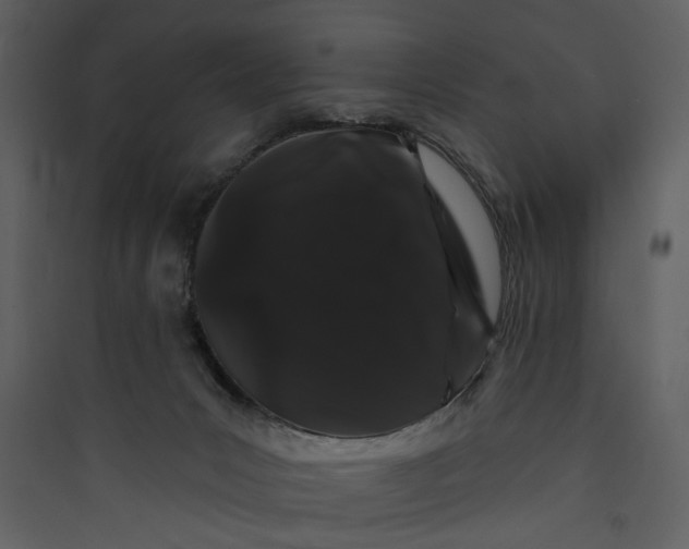 X0000089760031200707121413
