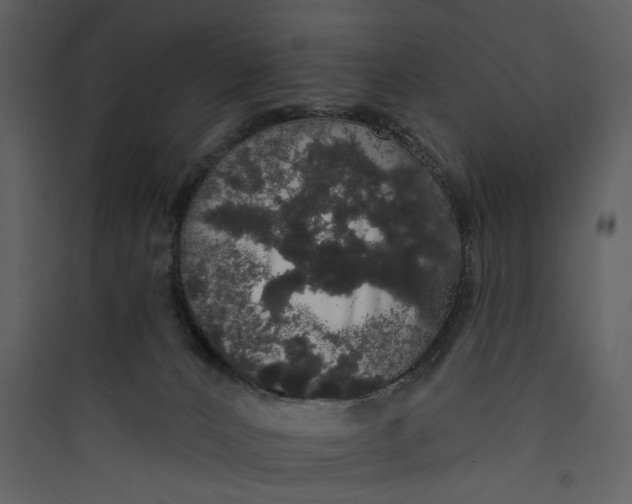 X0000089760032200707121413