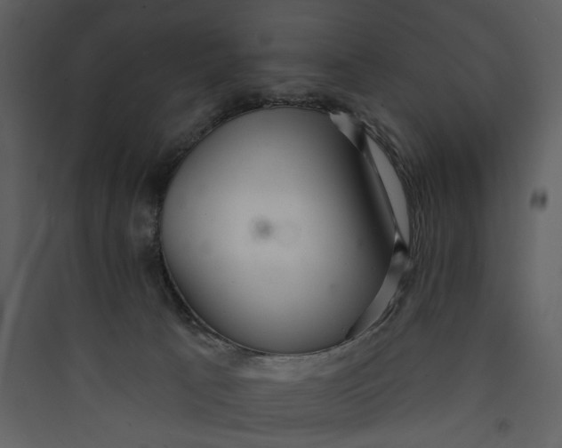 X0000089760033200707121413