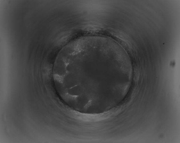 X0000089760034200707121413