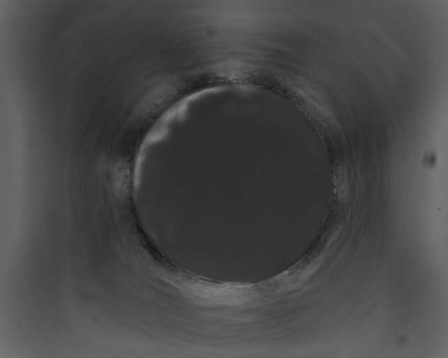 X0000089760036200707121413