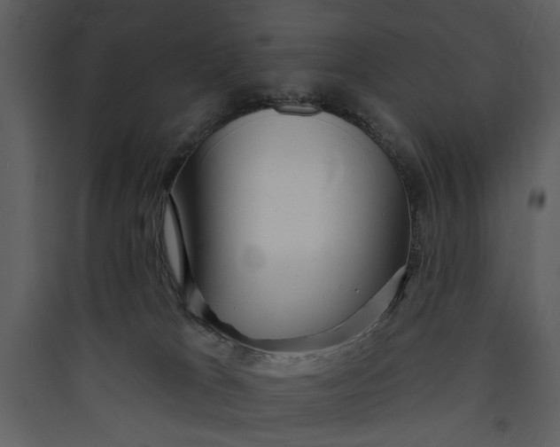 X0000089760037200707121413