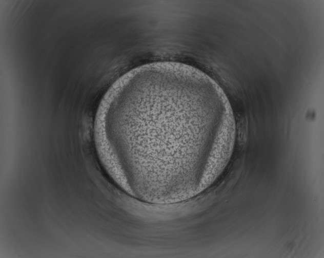X0000089760038200707121413