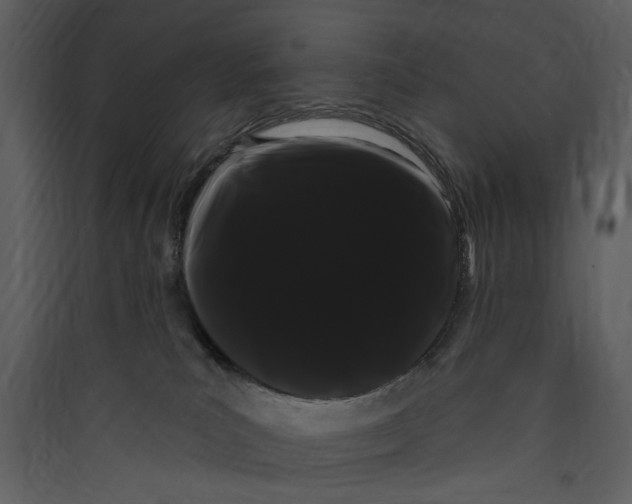 X0000089760039200707121413