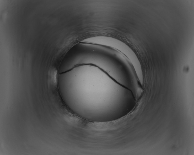 X0000089760041200707121413