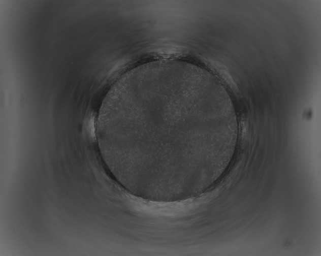 X0000089760042200707121413