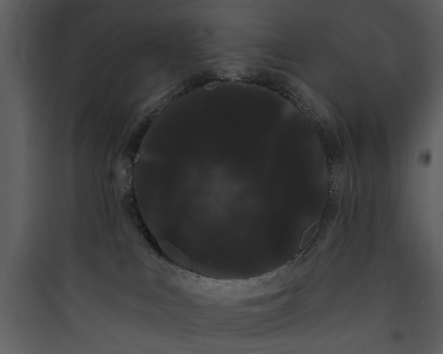 X0000089760043200707121413