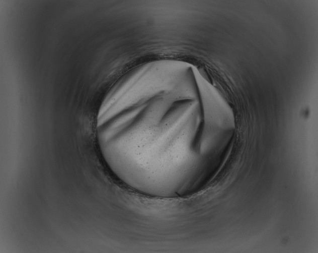 X0000089760044200707121413