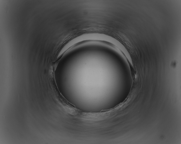 X0000089760045200707121413