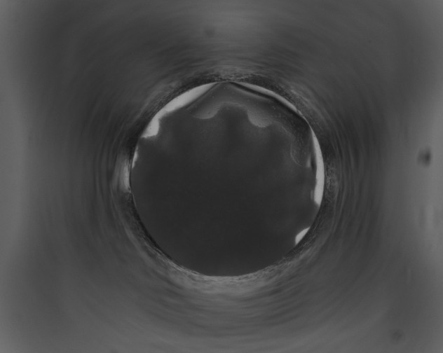 X0000089760046200707121413