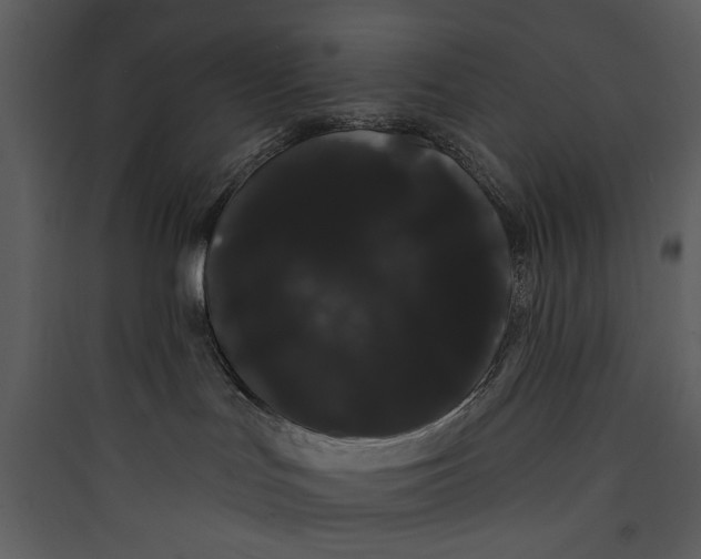 X0000089760047200707121413