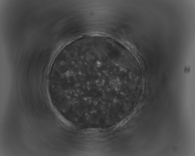 X0000089760049200707121412
