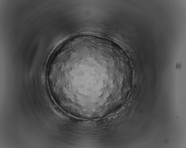 X0000089760050200707121412