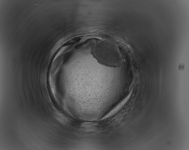 X0000089760051200707121412