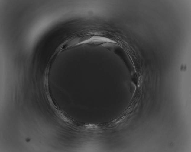 X0000089760052200707121412