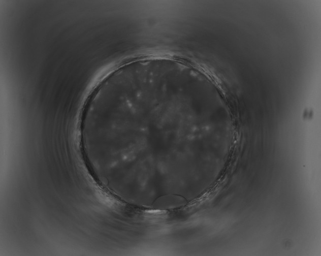 X0000089760053200707121412