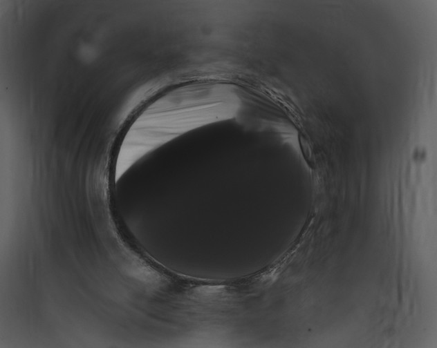 X0000089760054200707121412