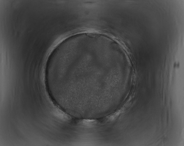 X0000089760055200707121412