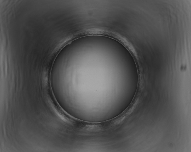 X0000089760057200707121412