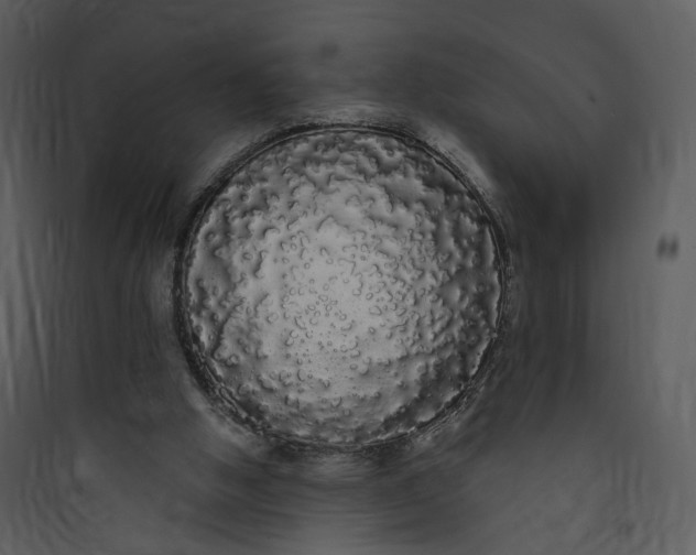 X0000089760058200707121412
