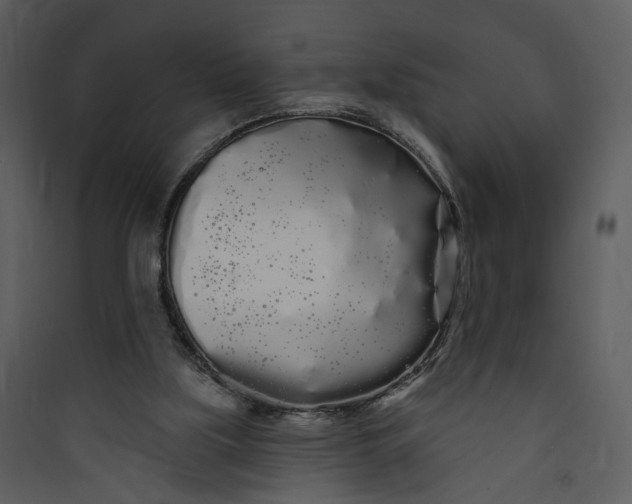 X0000089760059200707121412
